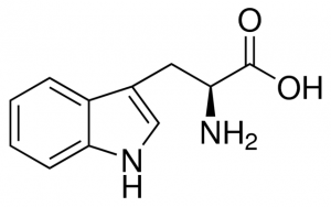 Tryptophan 