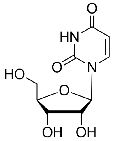 Uridine 