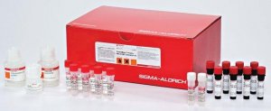 ProteoMass Peptide MALDI-MS Calibration Kit 