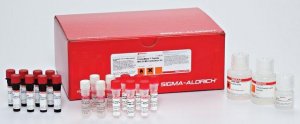 ProteoMass Protein MALDI-MS Calibration Kit 