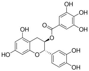 ()-Catechin 3-gallate PHL82497-10MG