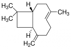 ()-trans-Caryophyllene PHL80717-100MG