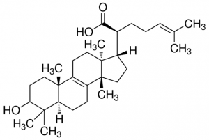 ,-Elemolic acid PHL80435-10MG