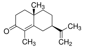 -Cyperone PHL89857-10MG