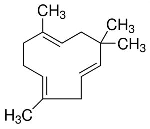-Humulene PHL83351-100MG