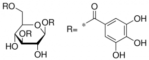 1,3,6-Trigalloyl -D-glucose PHL80631-10MG
