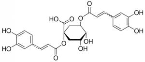 1,5-Dicaffeoylquinic acid PHL82221-10MG