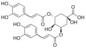 3,5-Dicaffeoylquinic acid PHL80426-10MG