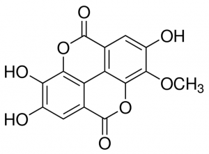 3-O-Methylellagic acid 