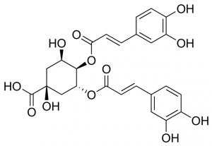 4,5-Dicaffeoylquinic acid PHL80427-10MG