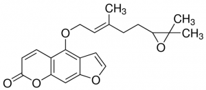 6,7-Epoxybergamottin 69779-10MG