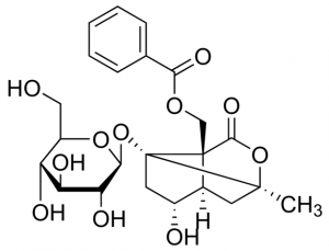 Albiflorin PHL89833-10MG