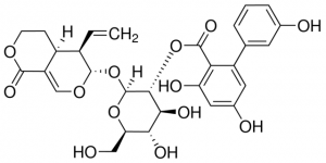 Amarogentin PHL80178-10MG