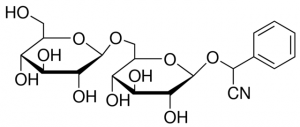 Amygdalin PHL89559-100MG