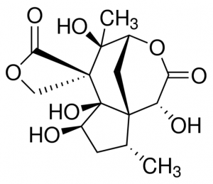 Anisatin 80478-10MG