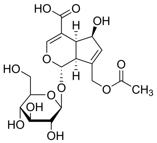 Asperulosidic acid PHL84202-10MG