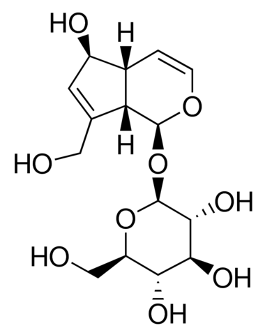 Aucubin 90590-25MG