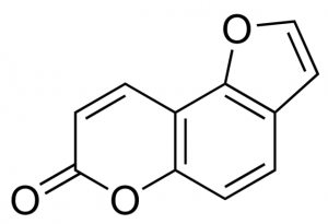 Bakuchicin PHL89578-10MG