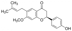 Bavachinin PHL82484-10MG