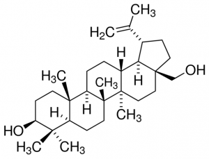 Betulin PHL89581-100MG