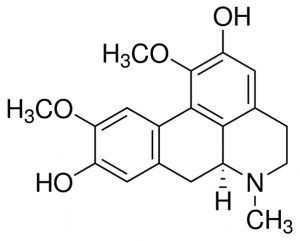 Boldine PHL80145-100MG