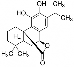 Carnosol PHL80150-10MG