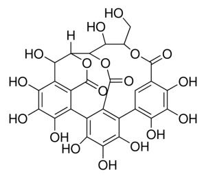 Castalin PHL83487-5MG
