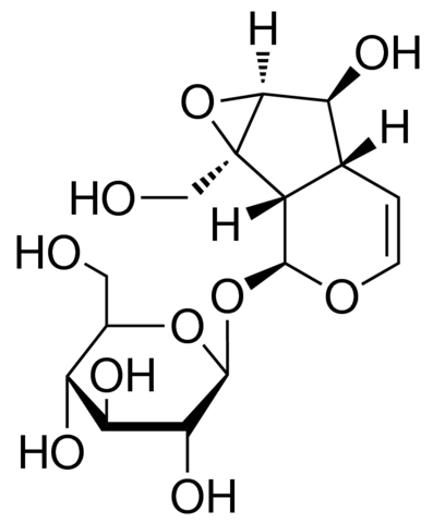 Catalpol PHL89595-10MG