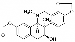 Corynoline PHL80574-10MG