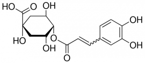 Cryptochlorogenic acid PHL80393-10MG