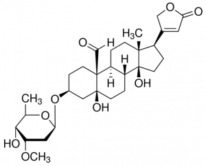 Cymarin PHL89838-20MG
