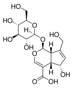 Deacetylasperulosidic acid PHL83491-10MG