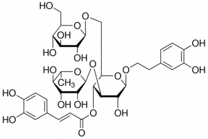 Echinacoside 