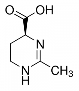 Ectoine 2380595-100MG