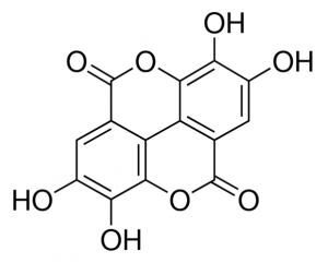 Ellagic acid 5350590-50MG
