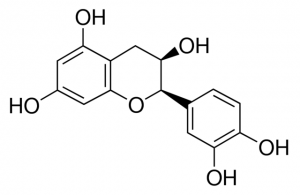 Epicatechin 3940590-10MG