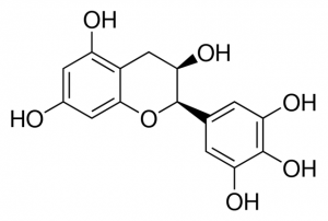 Epigallocatechin 3960590-10MG