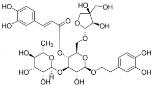Forsythoside B PHL83313-10MG