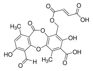 Fumarprotocetraric acid PHL82266-5MG