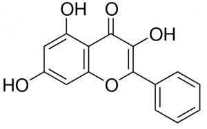 Galangin PHL89505-20MG
