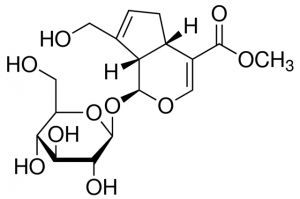 Geniposide PHL89675-20MG