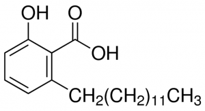 Ginkgolic acid C13:0 PHL89678-10MG