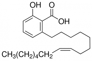 Ginkgolic acid C15:1 2580585-10MG