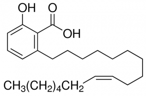Ginkgolic acid C17:1 PHL89207-10MG