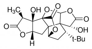 Ginkgolide A PHL89204-10MG