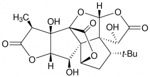 Ginkgolide B PHL89205-10MG