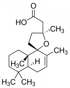 Grindelic acid PHL84799-10MG