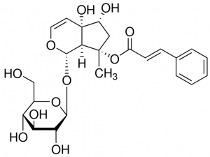 Harpagoside PHL89218-20MG
