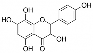 Herbacetin PHL83857-10MG