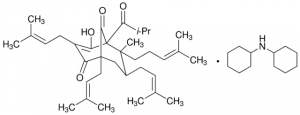 Hyperforin (stable Dicyclohexylammonium salt) PHL89225-10MG